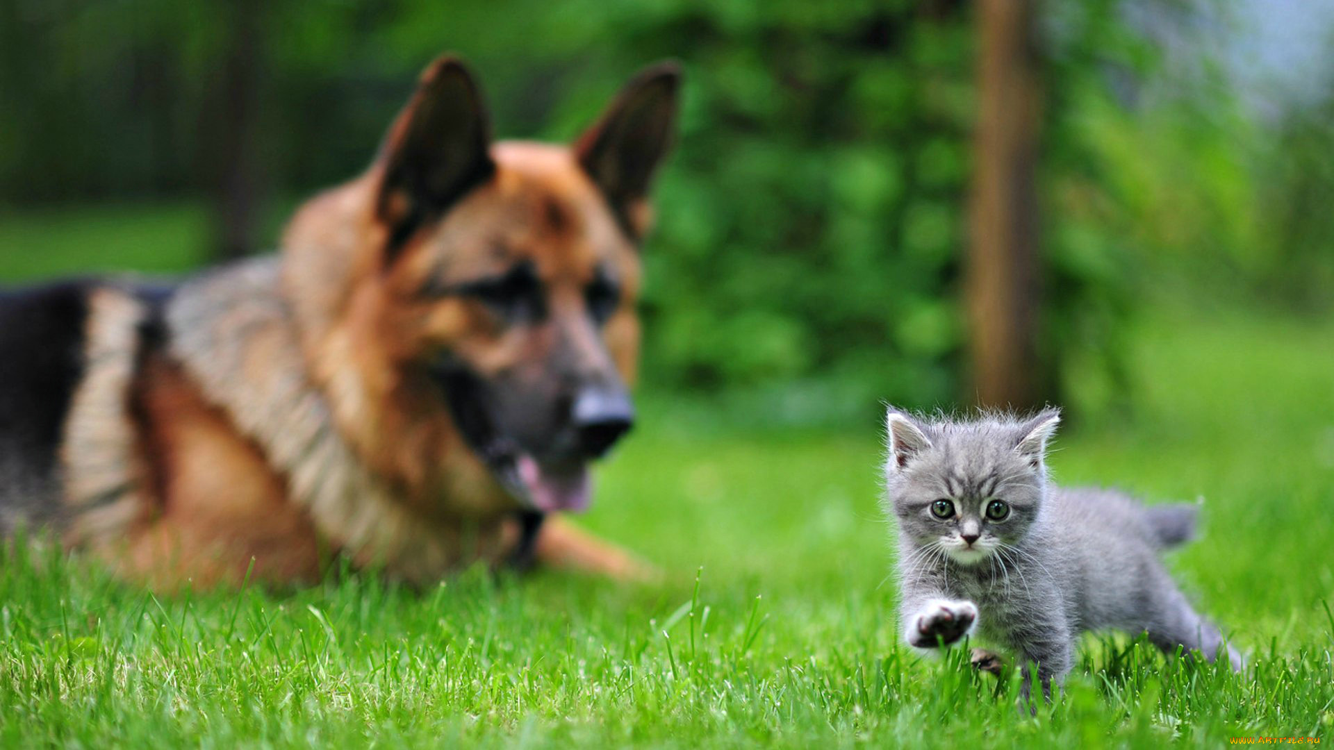 adorable, friends, , , , , , 